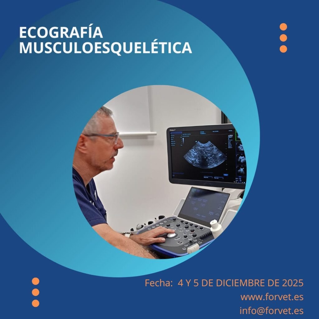 Curso Eco Musculoesquelética Curso Eco Musculoesquelética