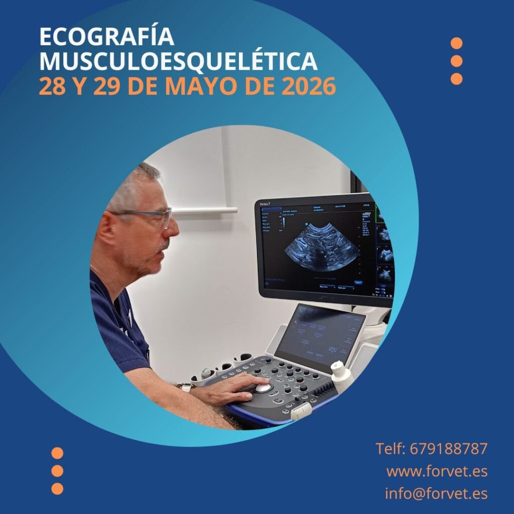 TALLER ECO músculo mayo 26