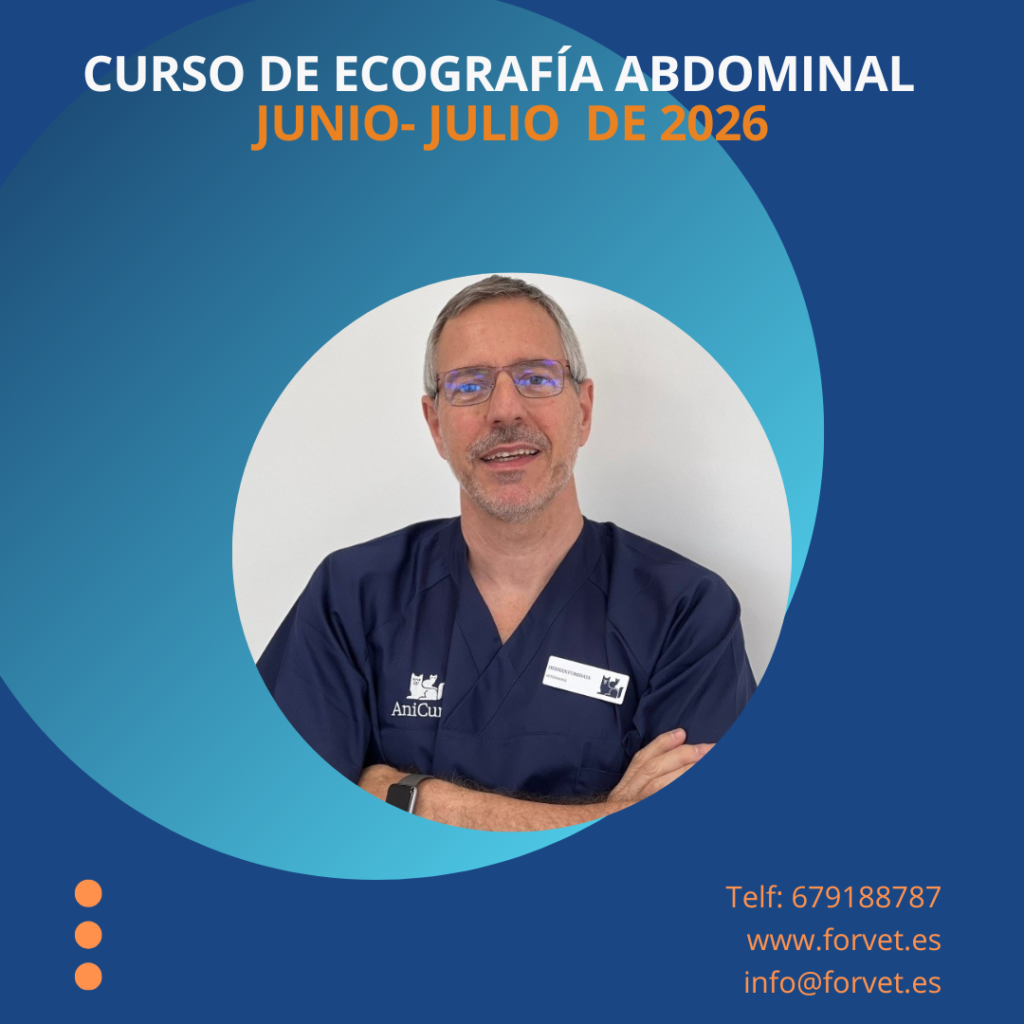 curso eco abdominal junio 26