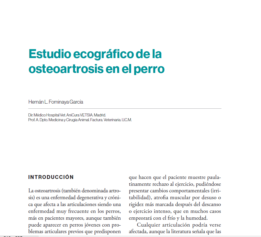 estudi ecográfico 3